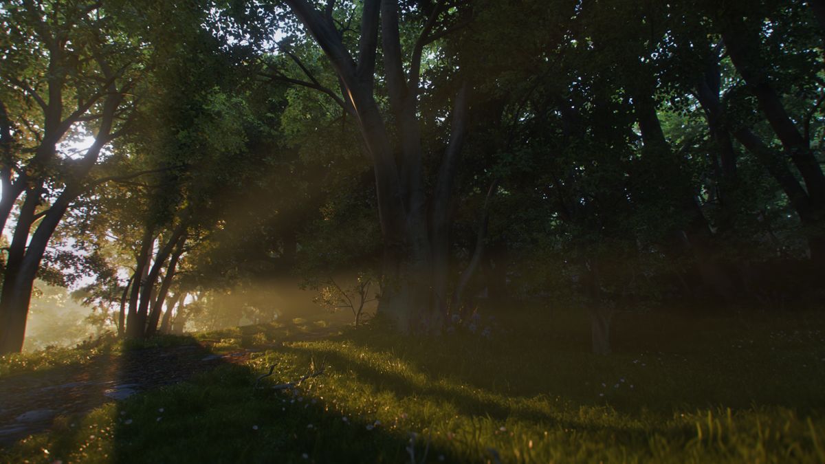 Fable — misty Albion woodland path with shafts of light through tall trees